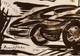 100% REAL Raymond Pettibon 50th Porsche Anniversary Special Edition AP 2 von 5