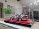 118 Porsche RWB Martini Racing Diecast Mounted On Customized Display Case