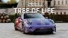911 Gt3 With Touring Package Tree Of Life Porsche Sonderwunsch