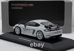Porsche 718 (982) Cayman GT4 RS Track Experience Sport Grey 143 Minichamps (4)