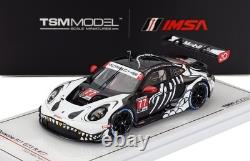 Porsche GT3 R AO Racing Rexy Skeleton #77 2025 Petit Le Mans 1/43 TrueScale